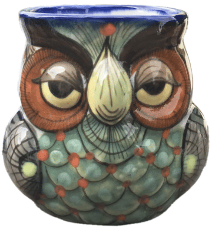 Stoneware Owl Mug - Handpainted